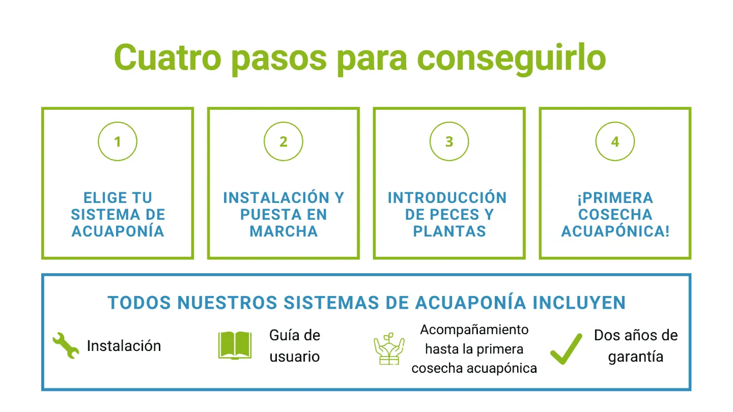 cuatro pasos para conseguirlo